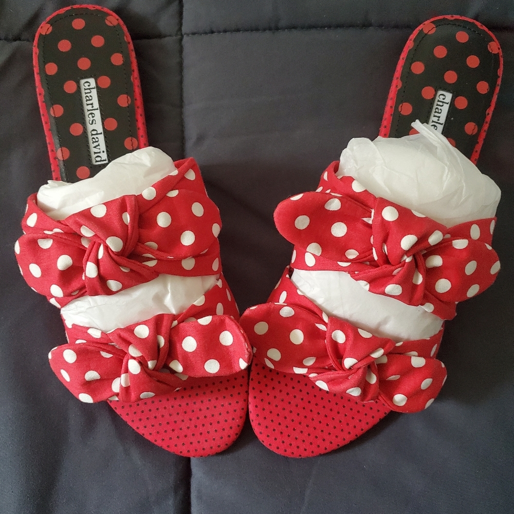 Charles David Sandals